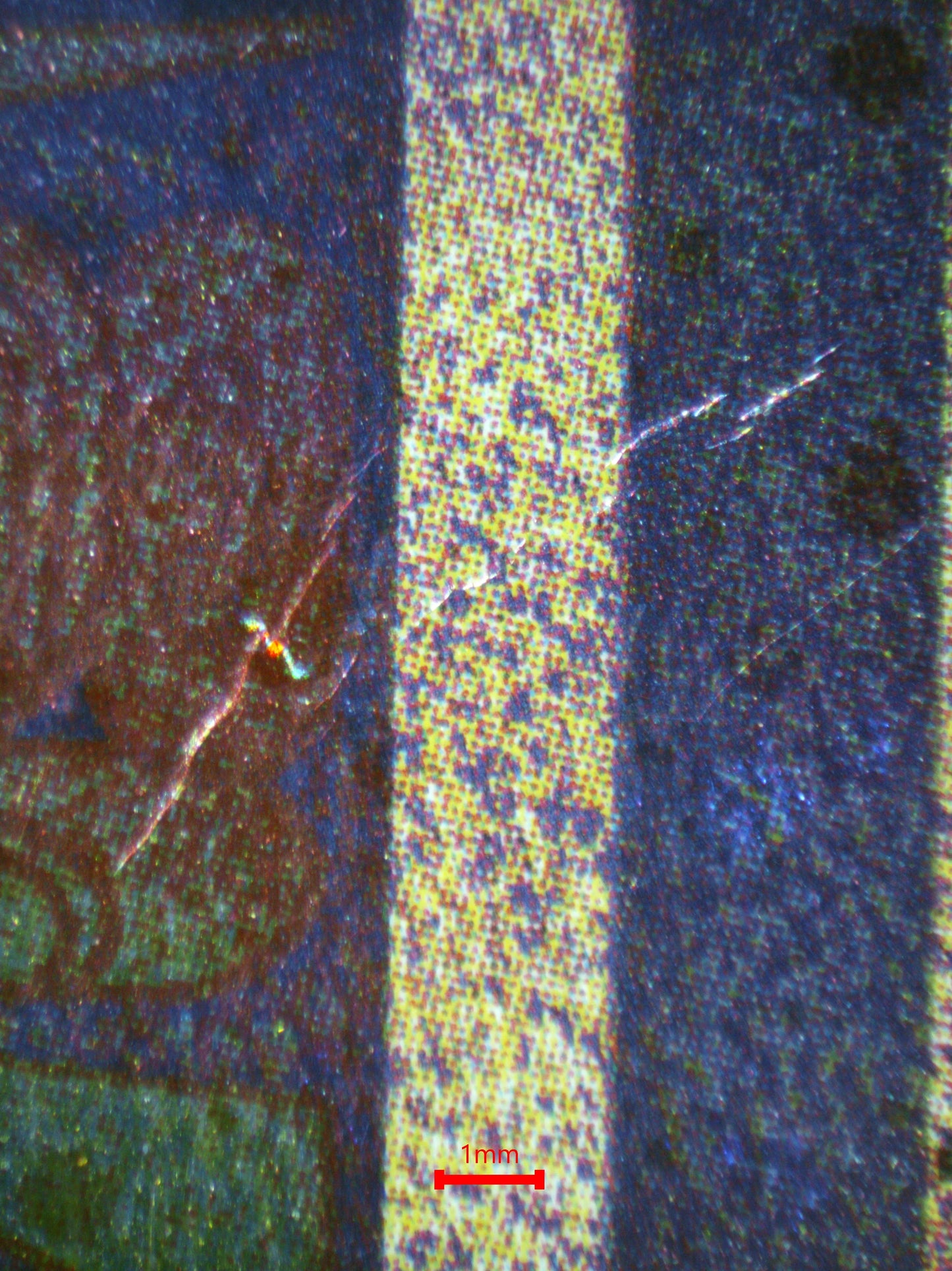 01206 ANCIENT MEW Grading Card