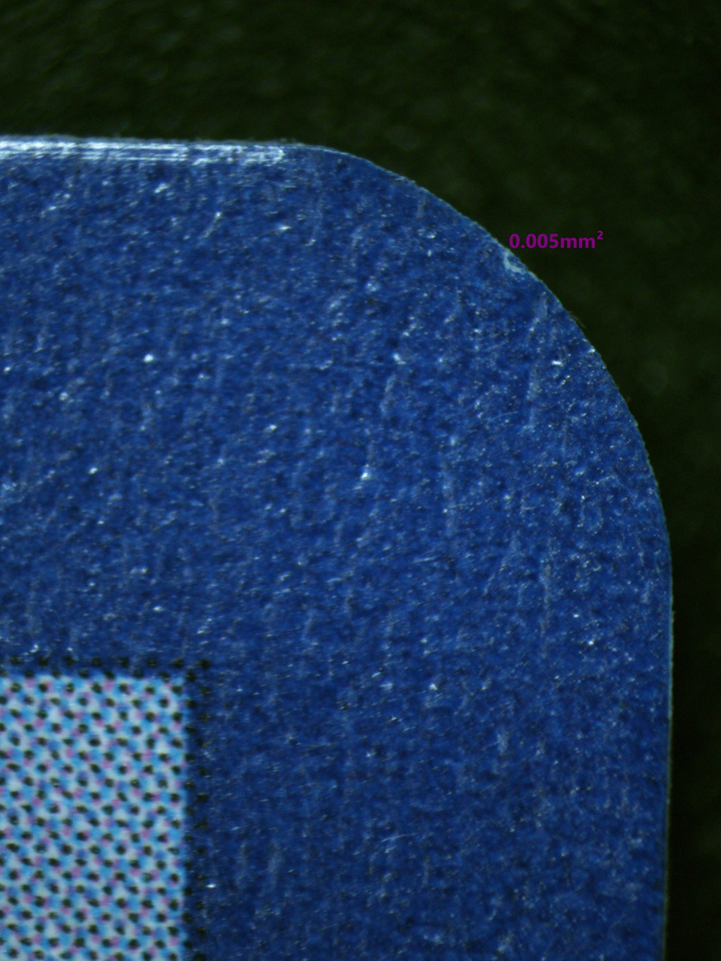 01248 CHARIZARD Grading Card