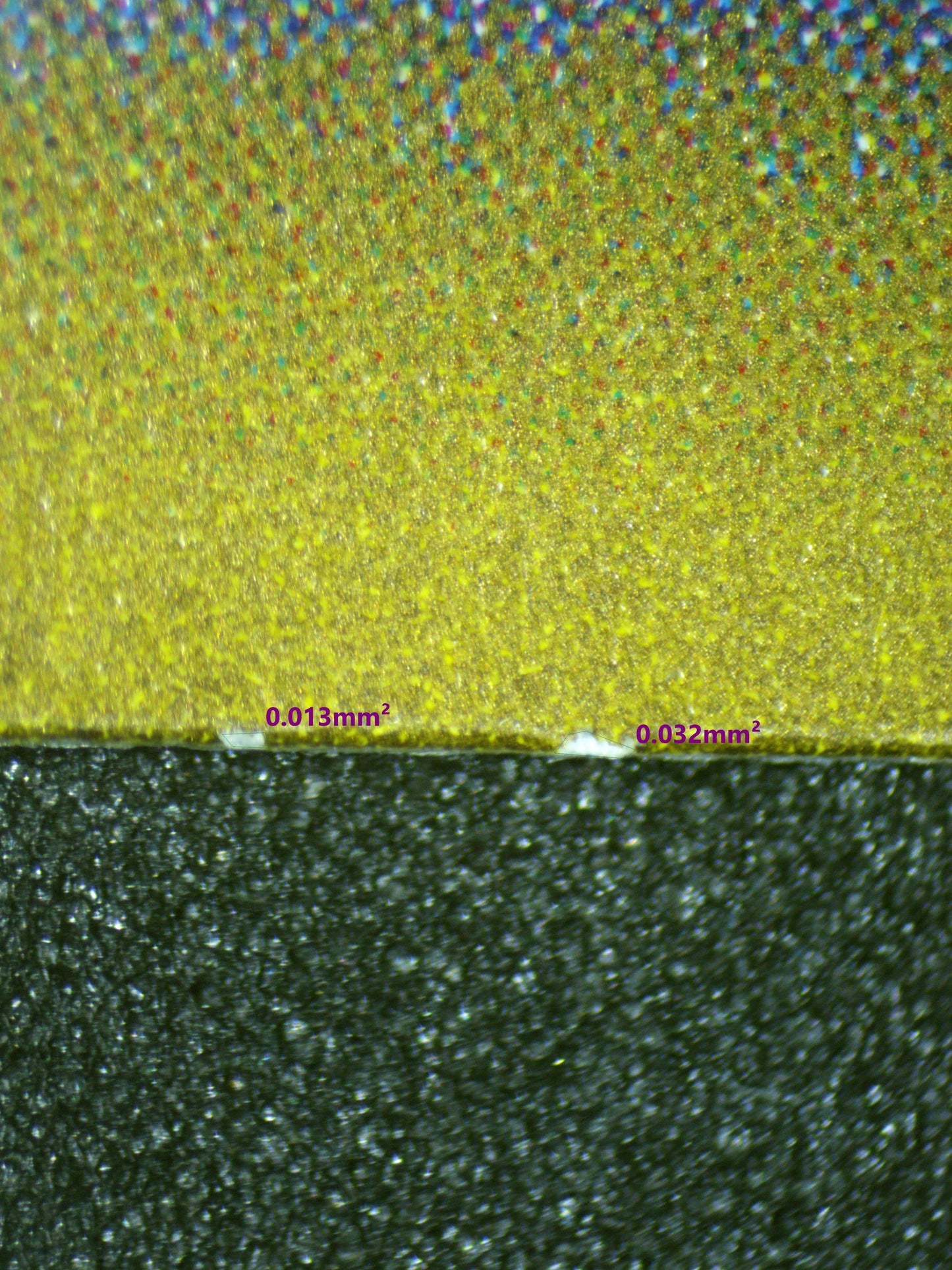 01358 WARTORTLE (JAPANESE)