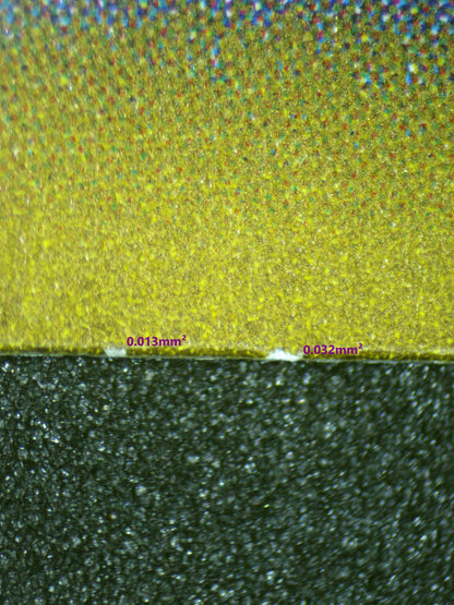 01358 WARTORTLE (JAPANESE)