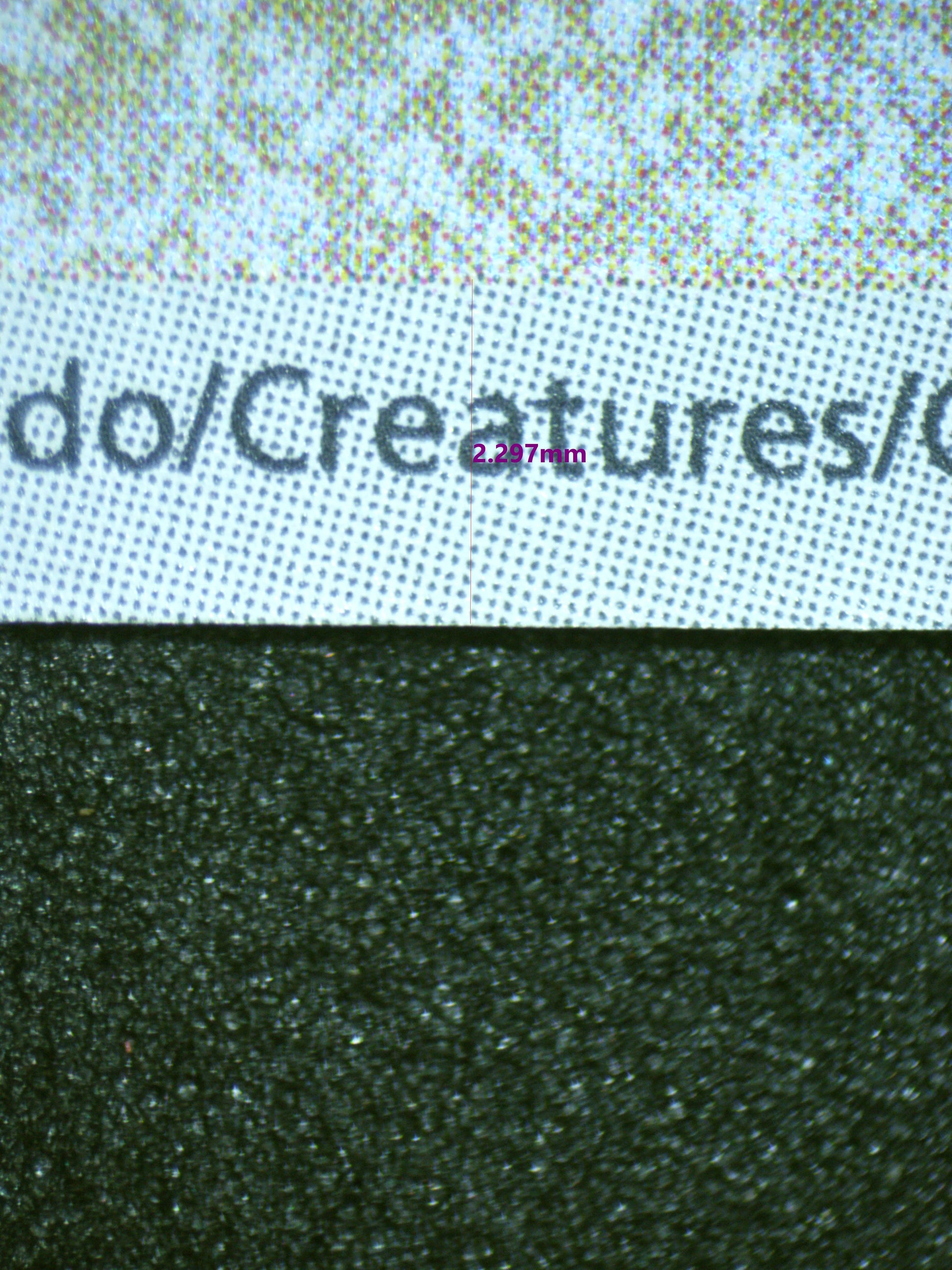 01369 SQUIRTLE (KOREAN) Grading Card