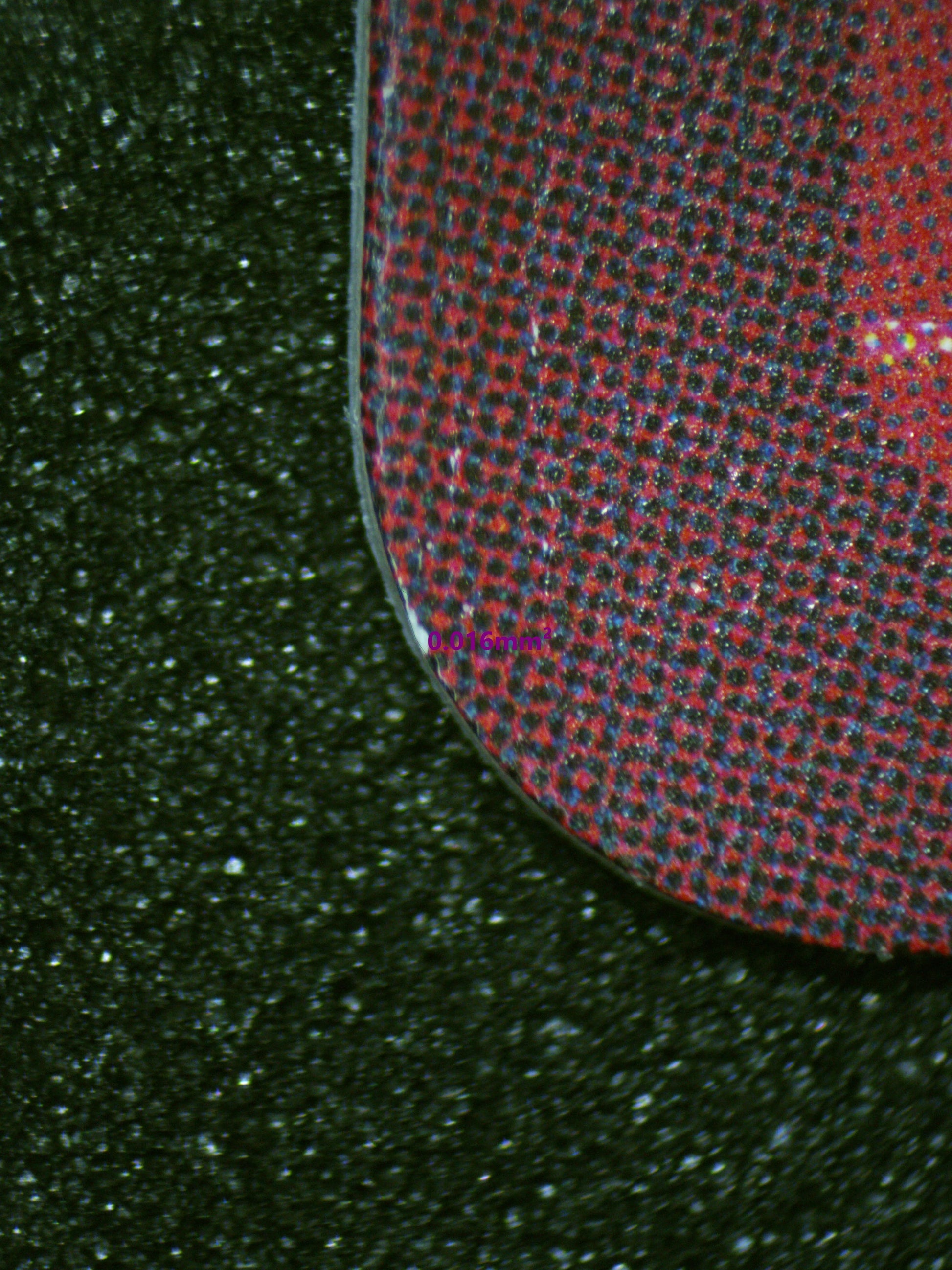 01510 ZEPHYR Grading Card