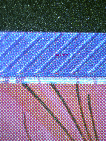 01510 ZEPHYR Grading Card