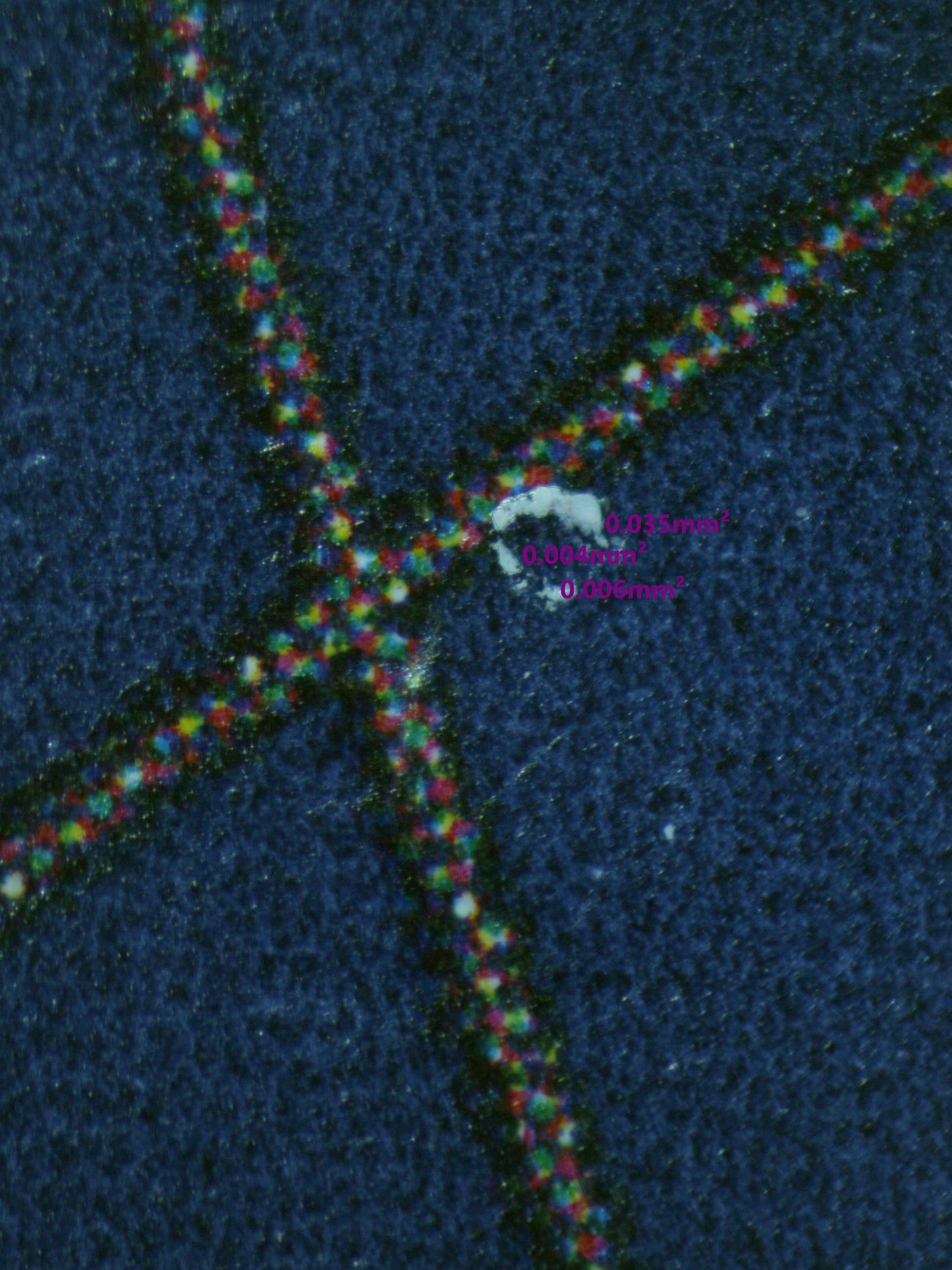 01512 LITTLE SADI Grading Card