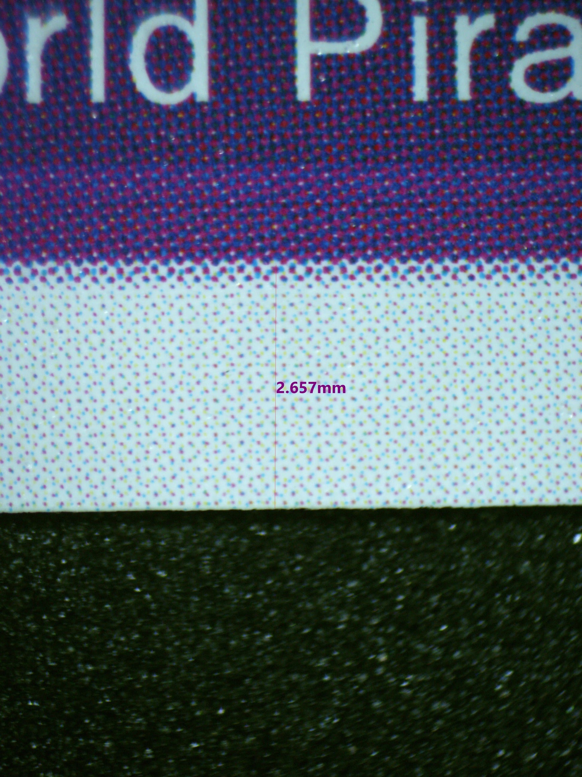 01521 BYRNNDI WORLD Grading Card