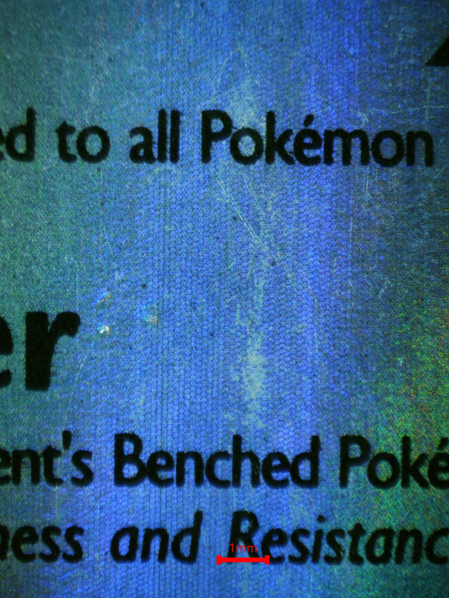 01731 BLASTOISE Grading Card