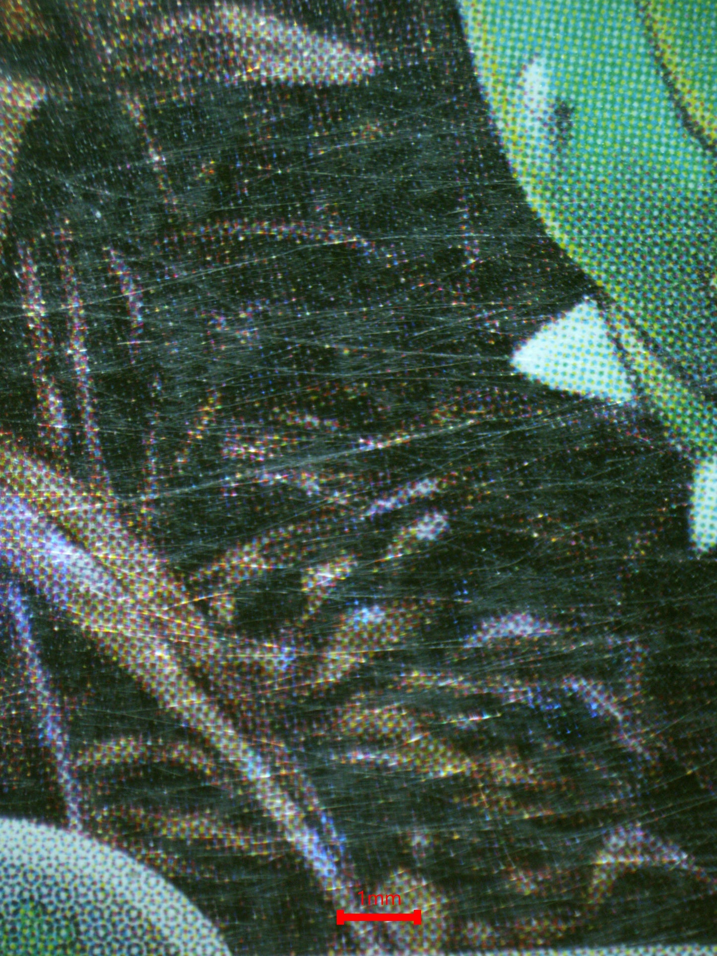 01732 VENUSAUR Grading Card