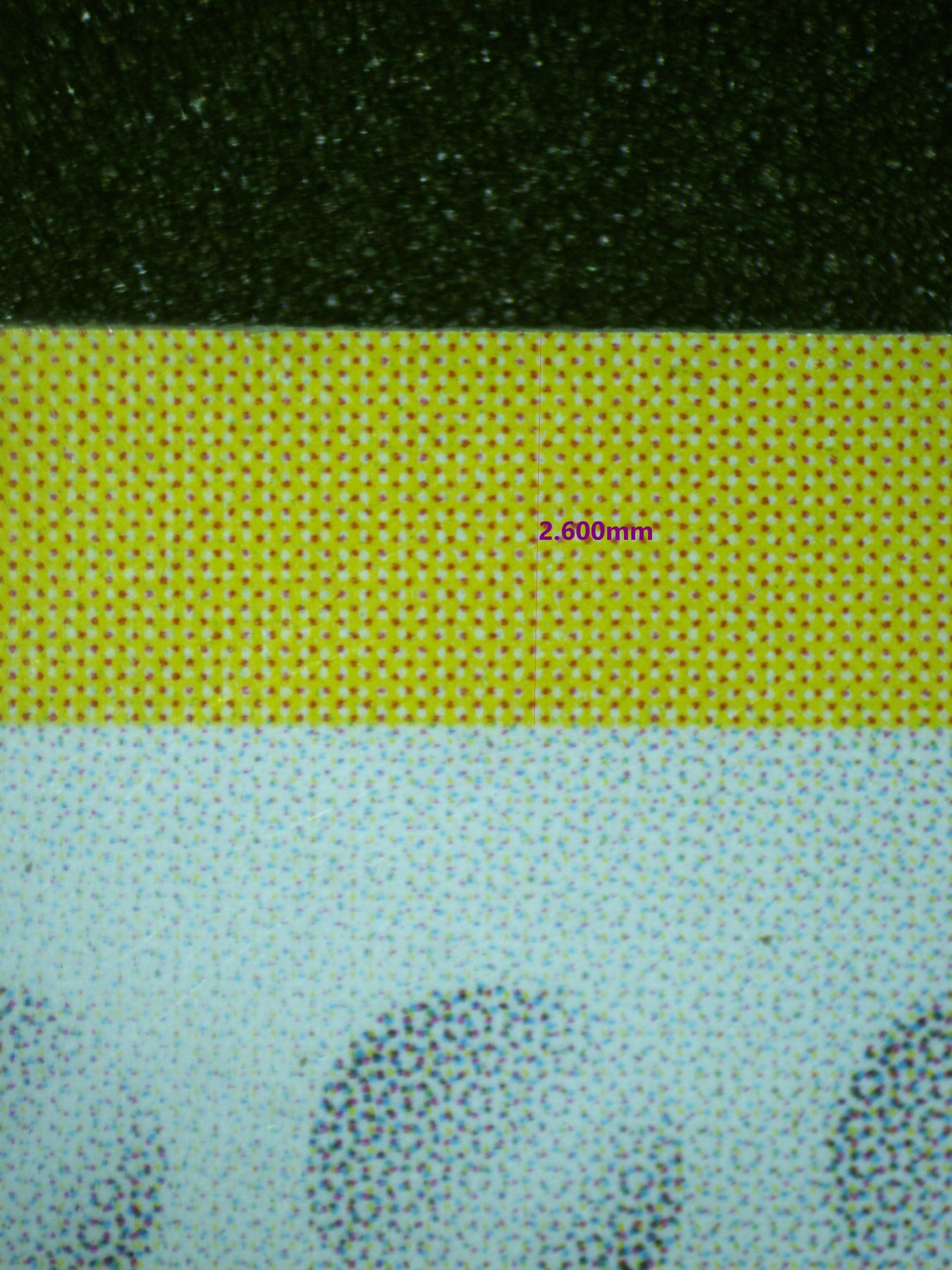 01732 VENUSAUR Grading Card