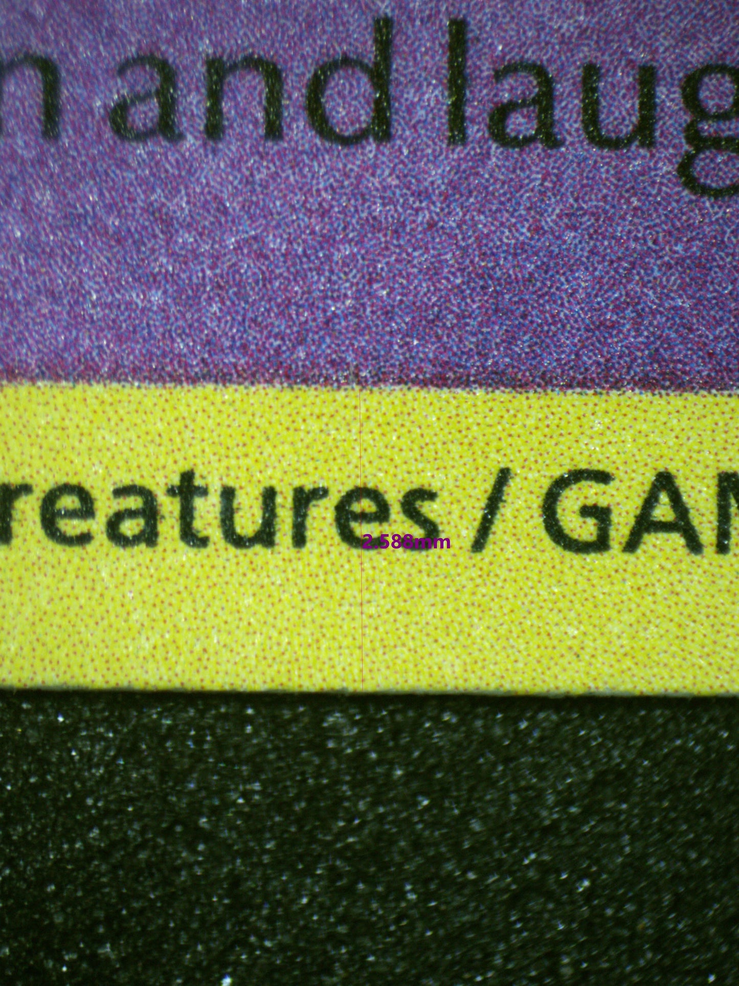 01737 GENGAR Grading Card
