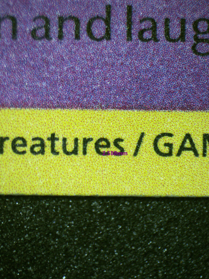 01737 GENGAR Grading Card