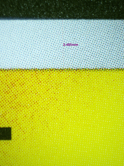 01738 MISCHIEVOUS PICHU (JAPANESE) Grading Card