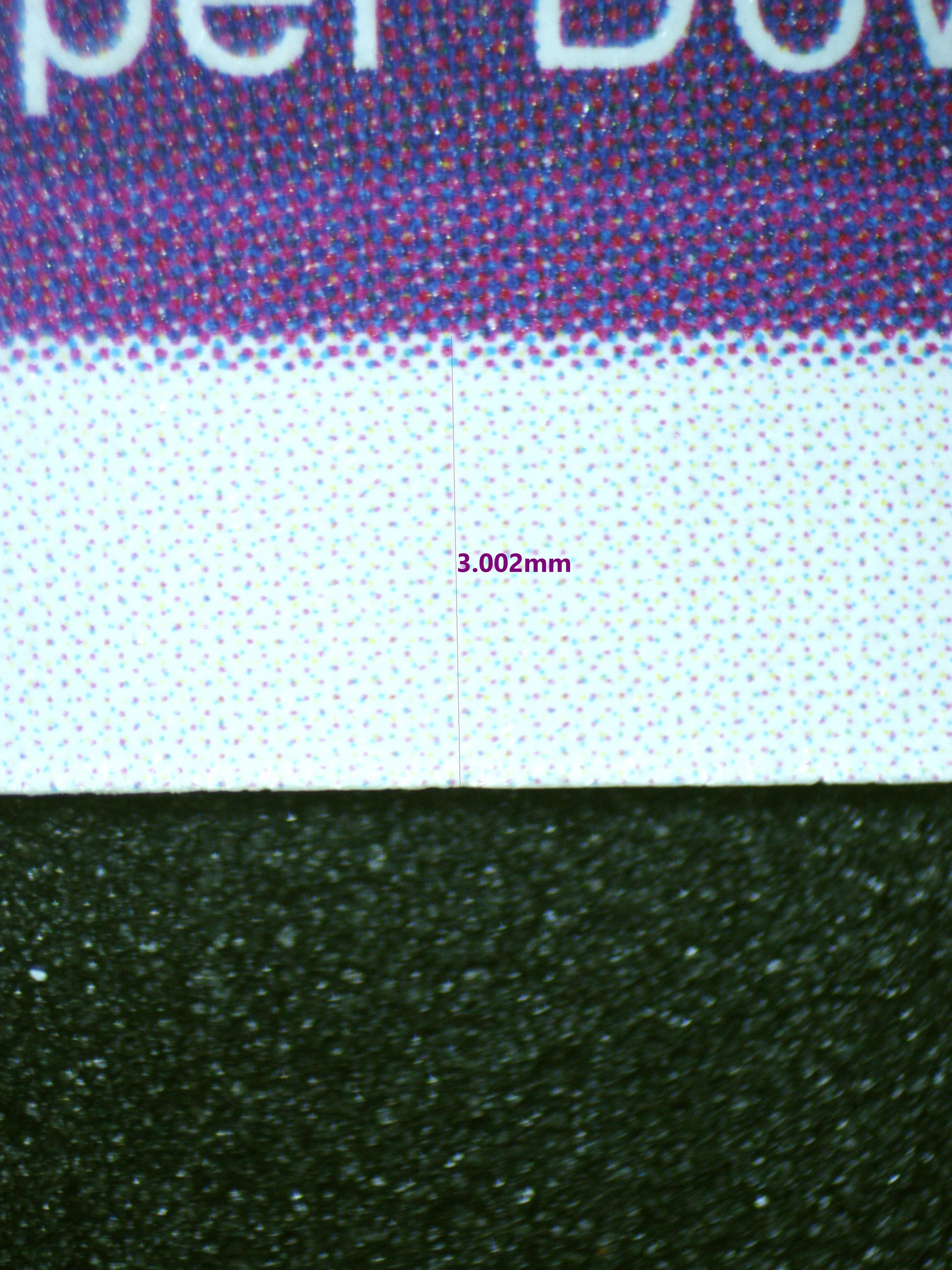 01520 DOMINO Grading Card