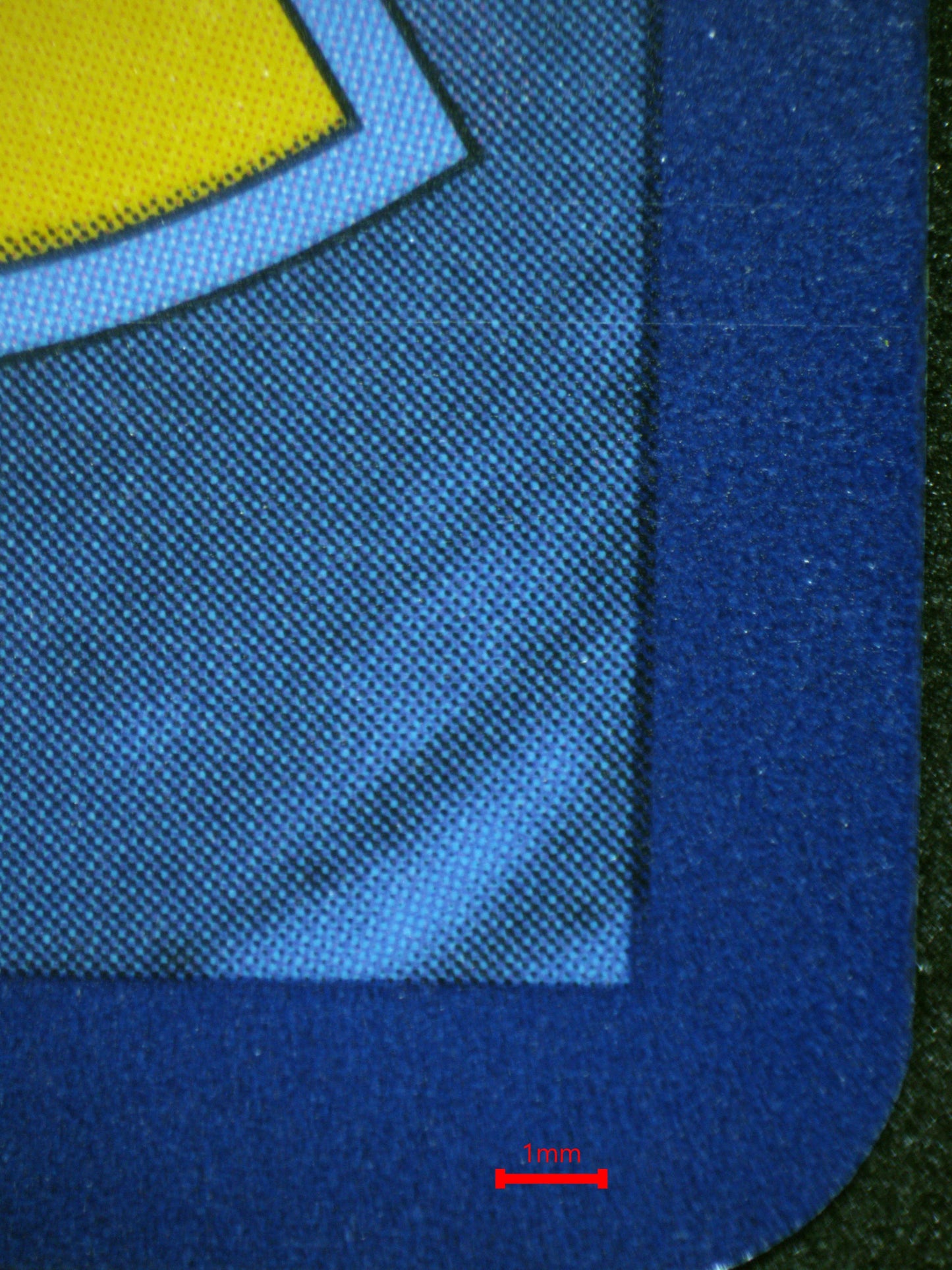 01843 BLASTOISE Grading Card