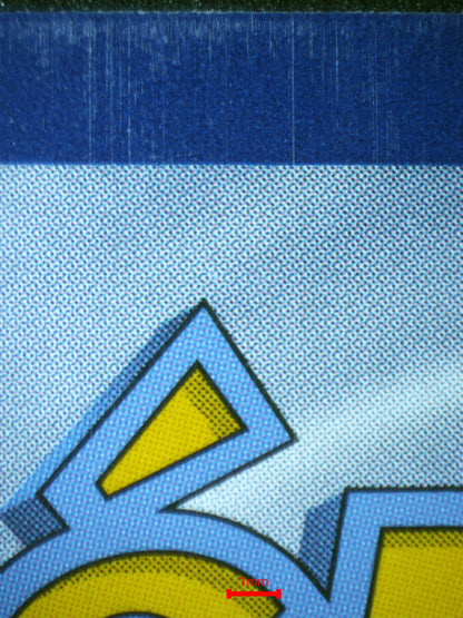 01857 SQUIRTLE Grading Card