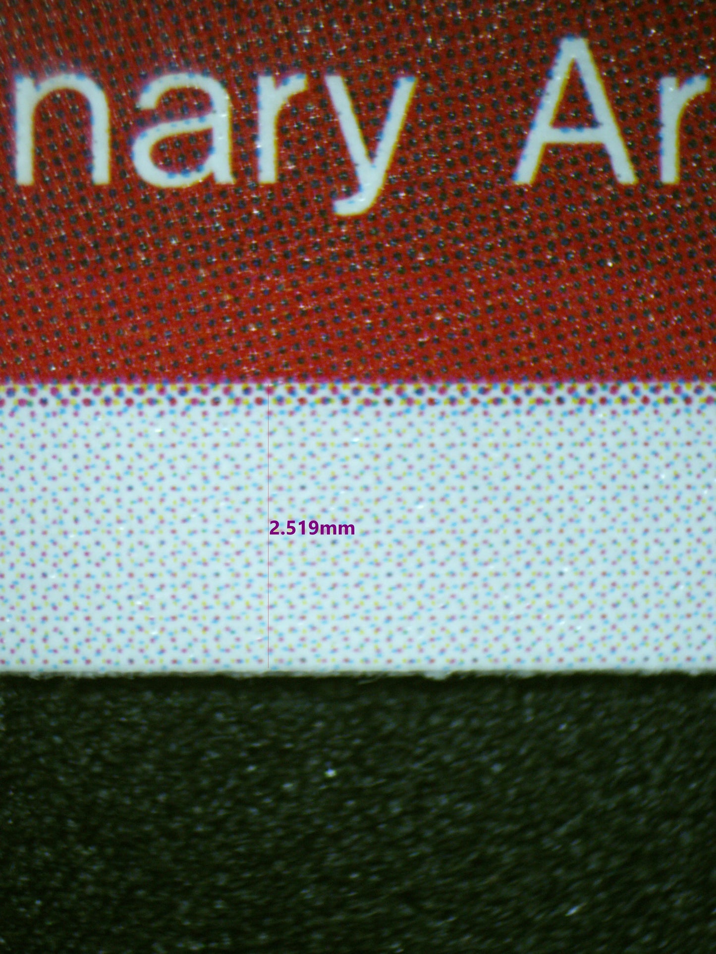 01594 RAISE MAX Grading Card