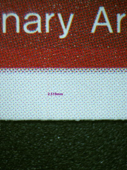 01594 RAISE MAX Grading Card
