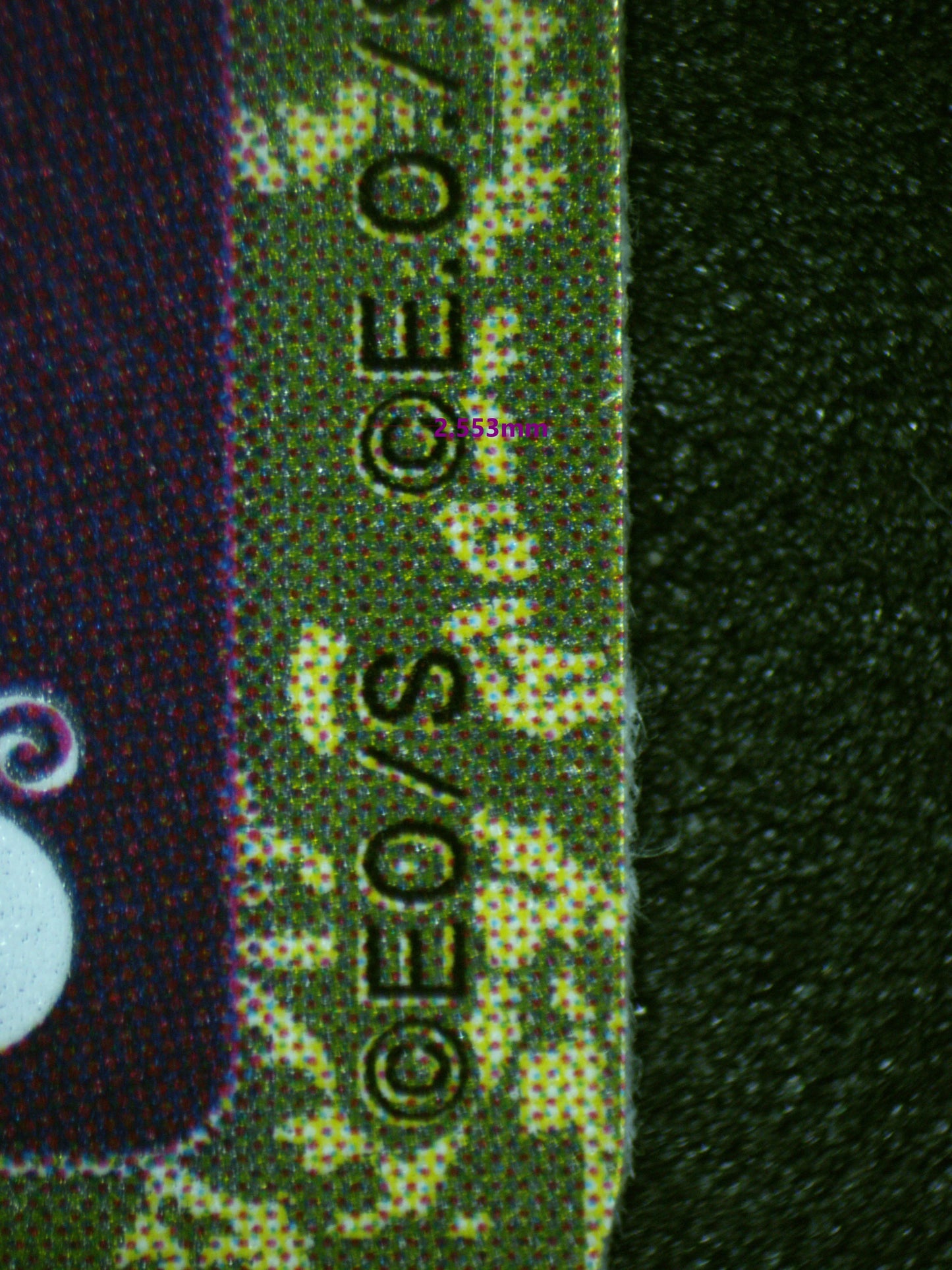 01666 BLACK BUG Grading Card