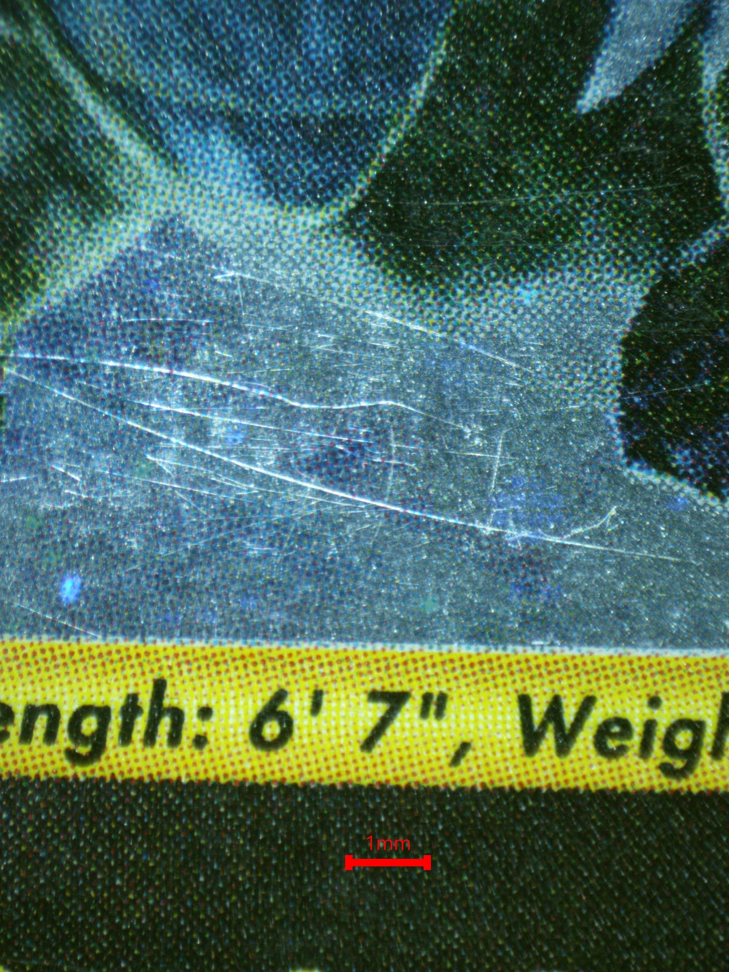 01902 TYRANITAR Grading Card