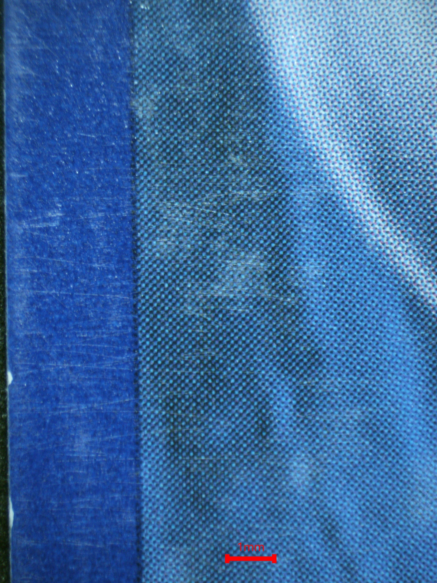 01920 GENGAR Grading Card