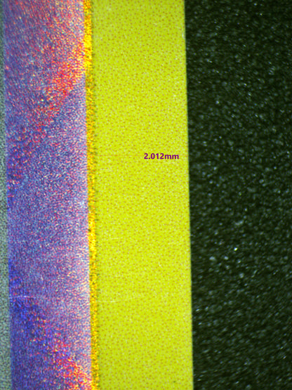 01920 GENGAR Grading Card