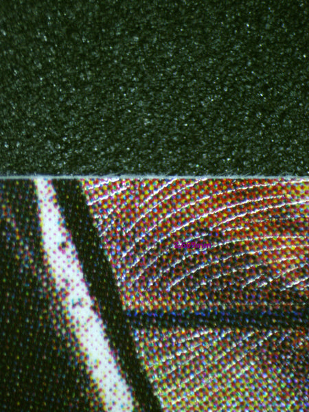 Extra 6