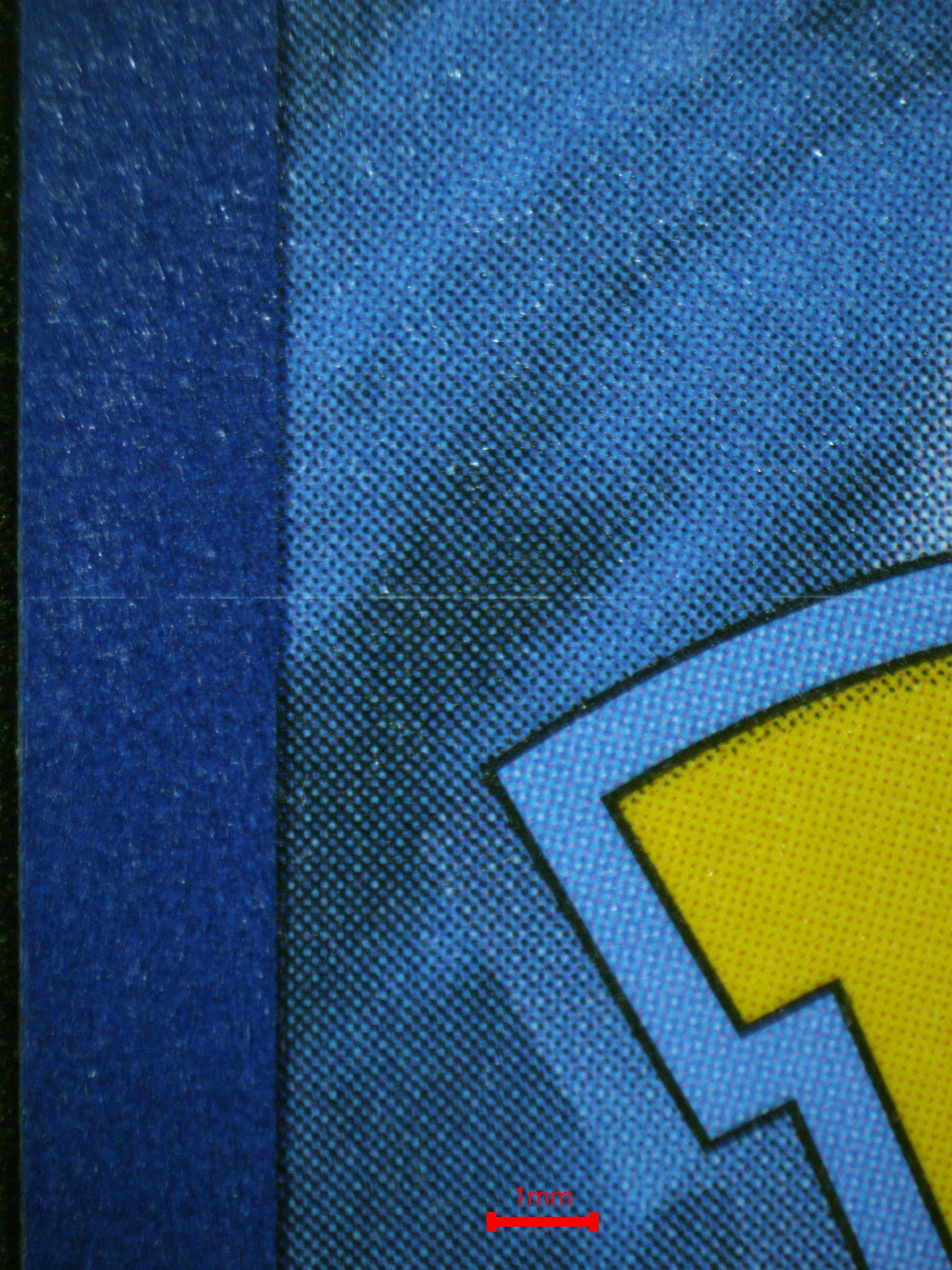 01955 CHARIZARD EX Grading Card