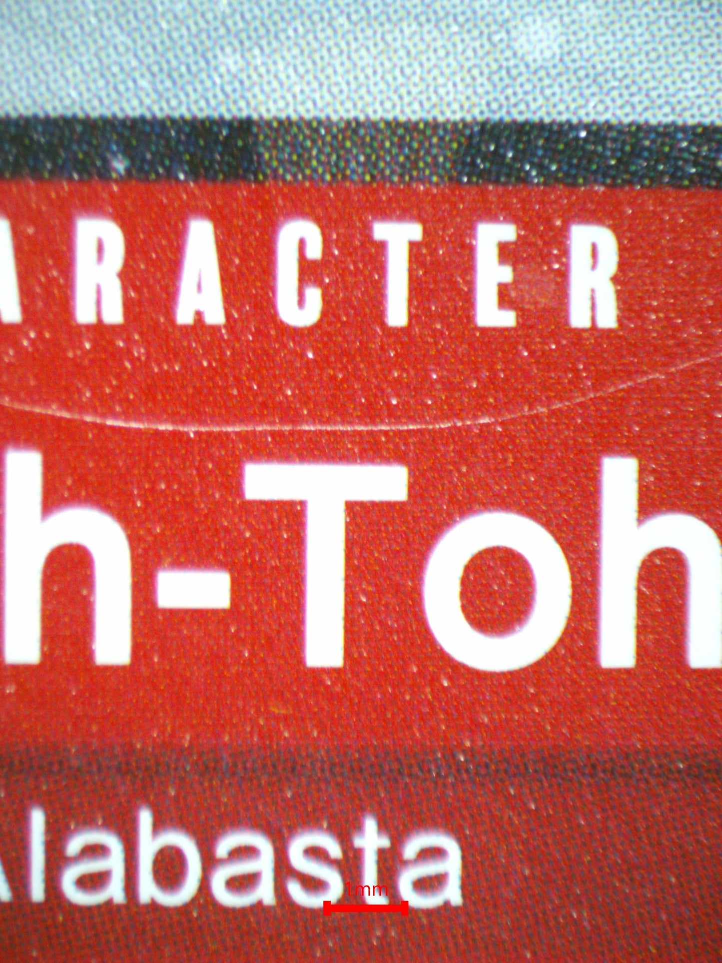 02001 TOH-TOH Grading Card