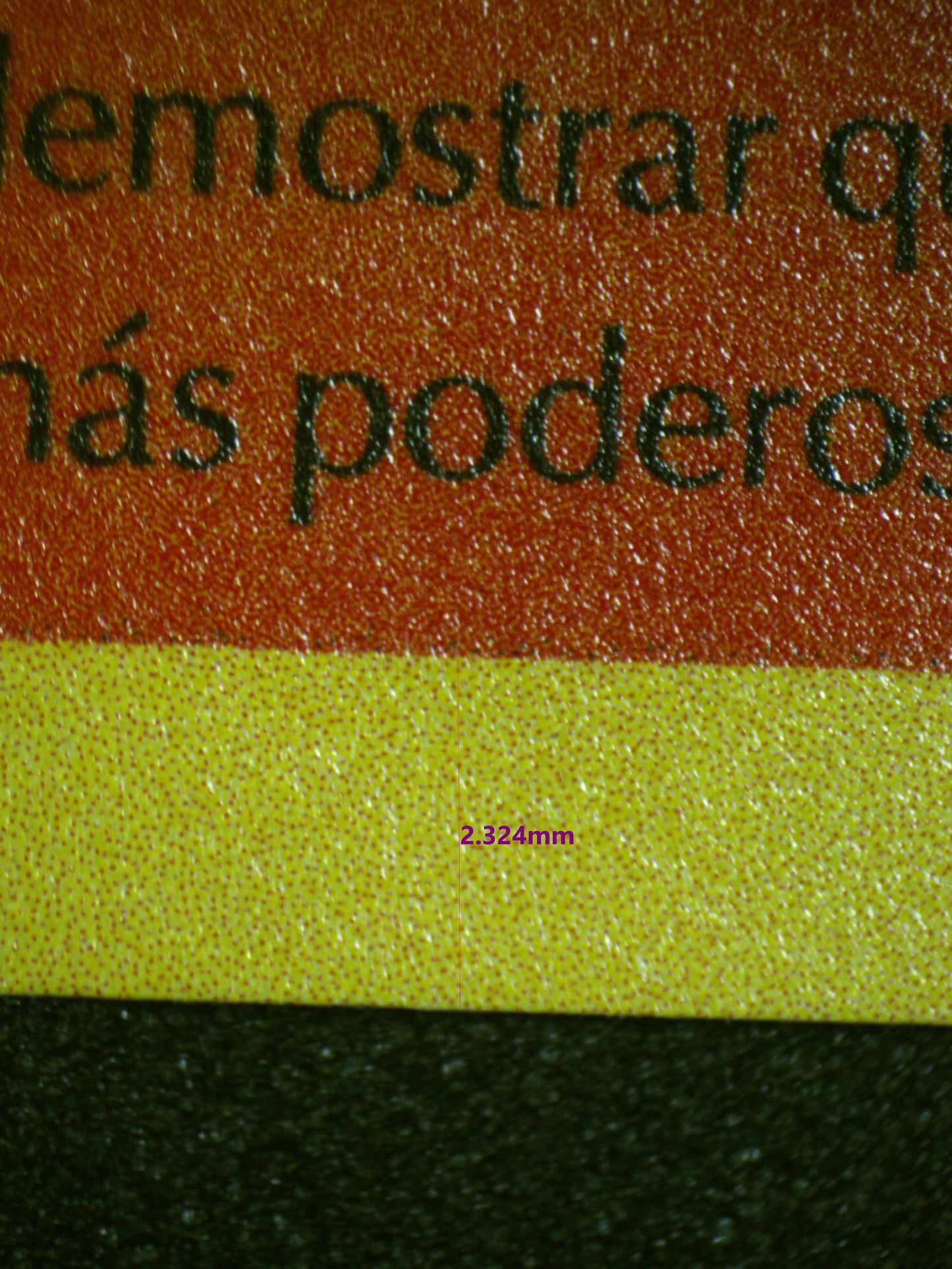 02060 CHARIZARD (SPANISH) Grading Card