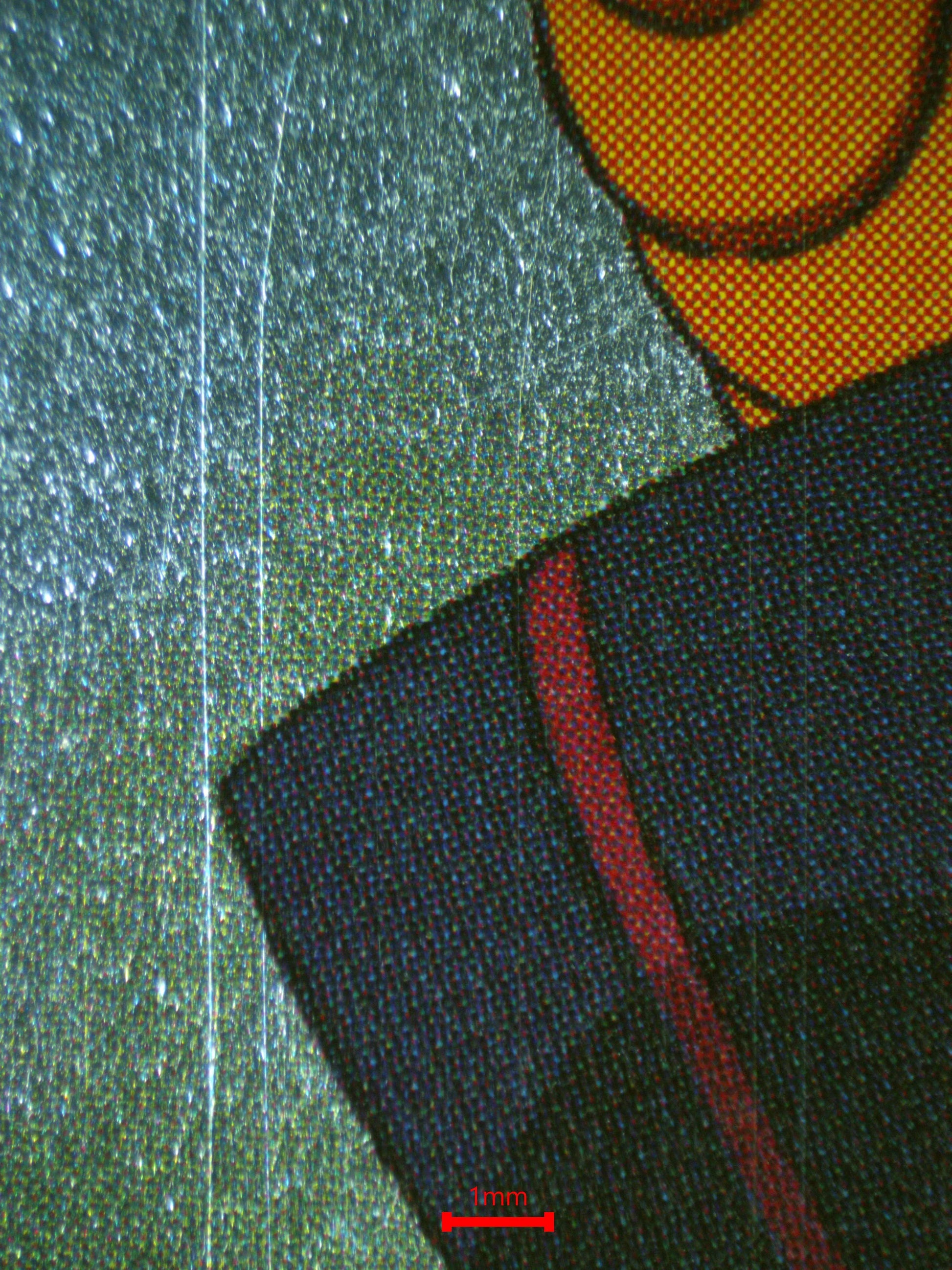 02064 TOBI Grading Card