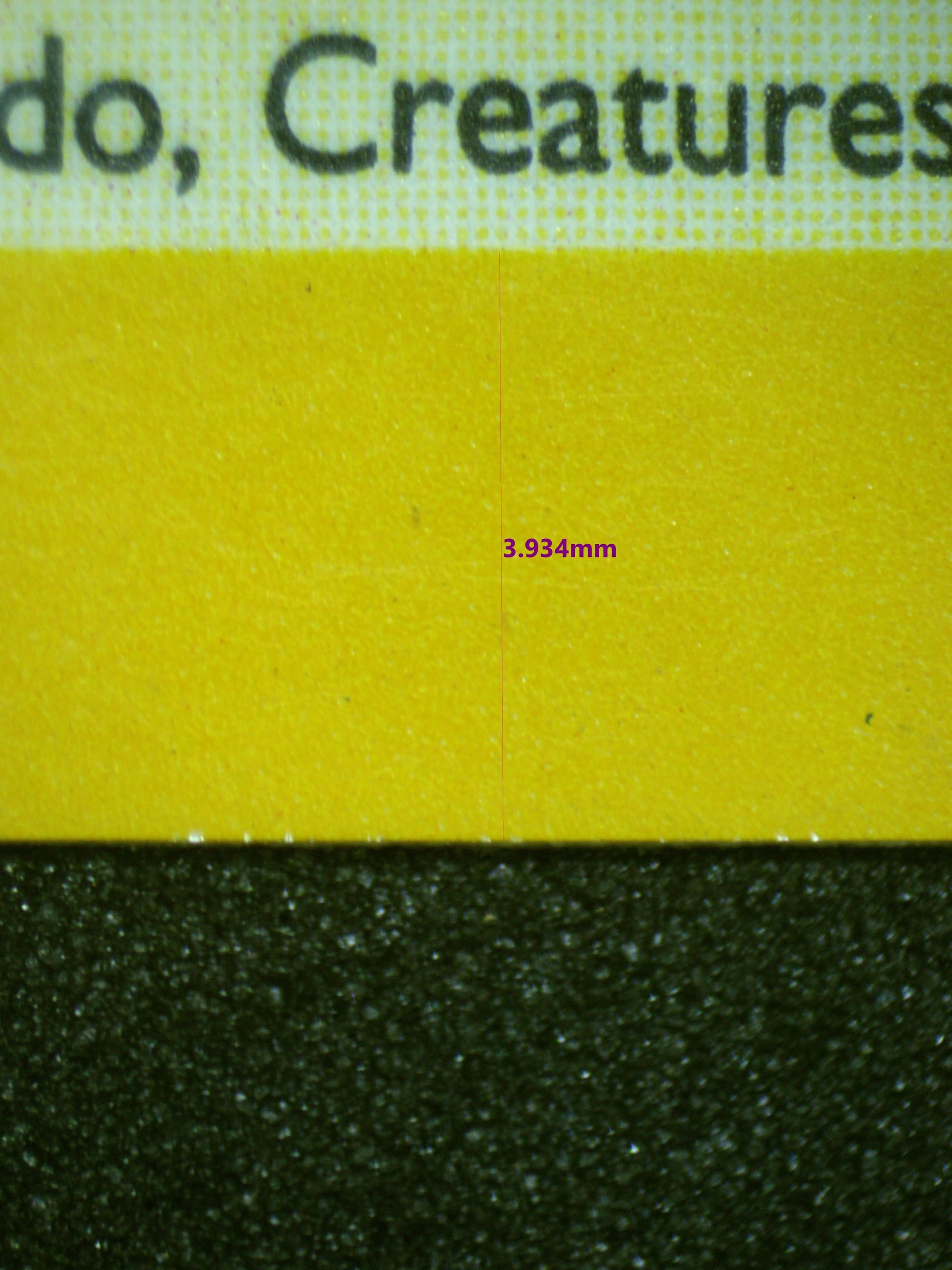 02088 RAICHU Grading Card