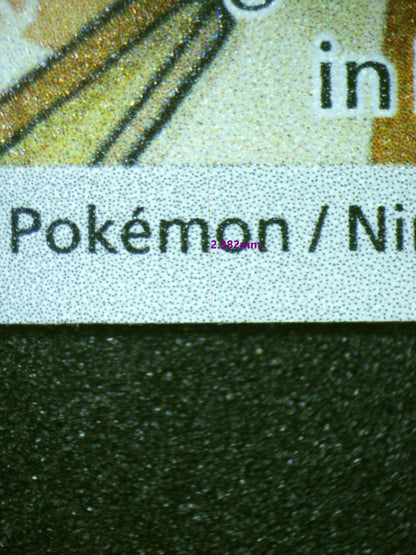 02162 LITTEN Grading Card