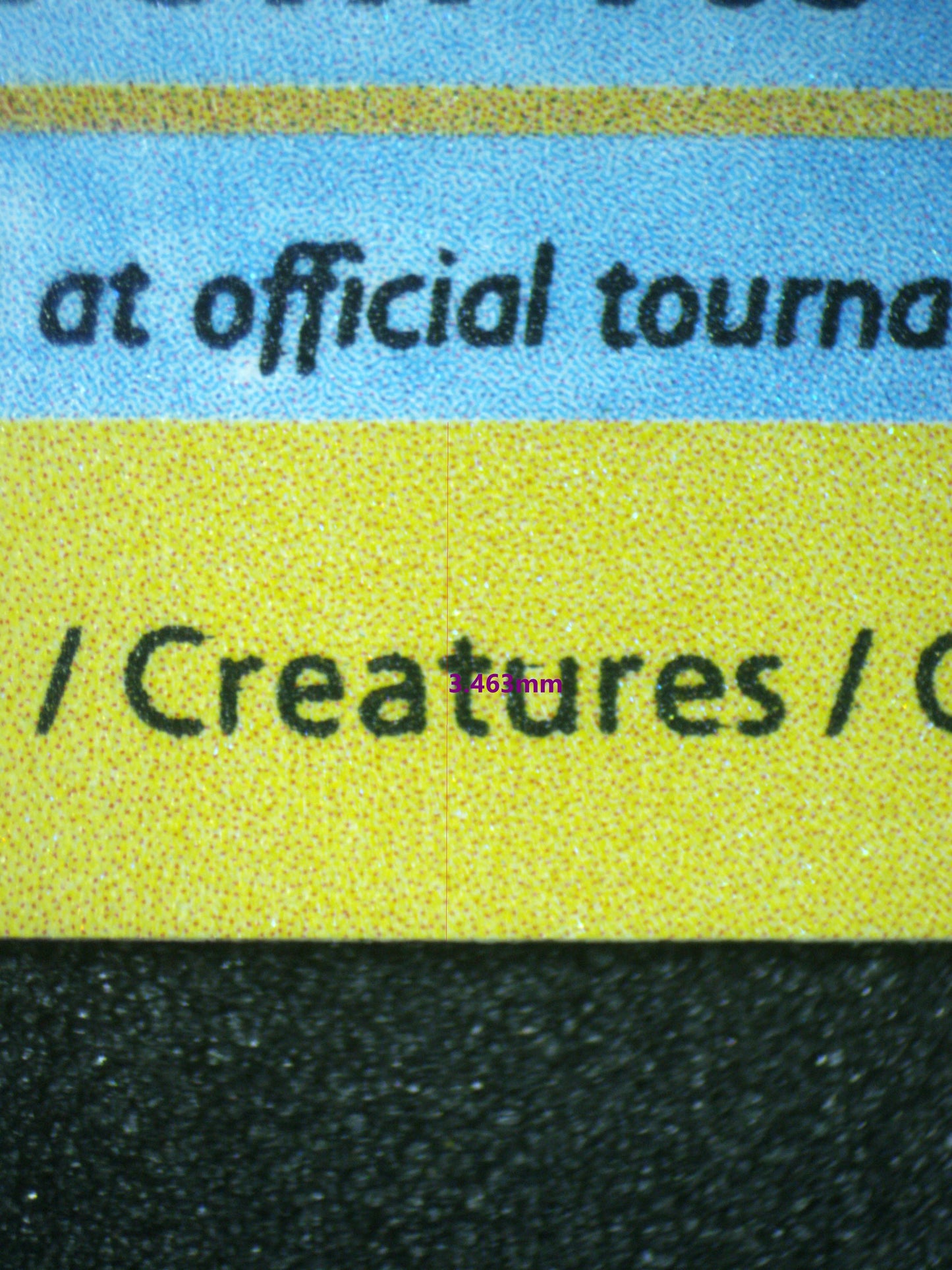 02191 SQUIRTLE Grading Card