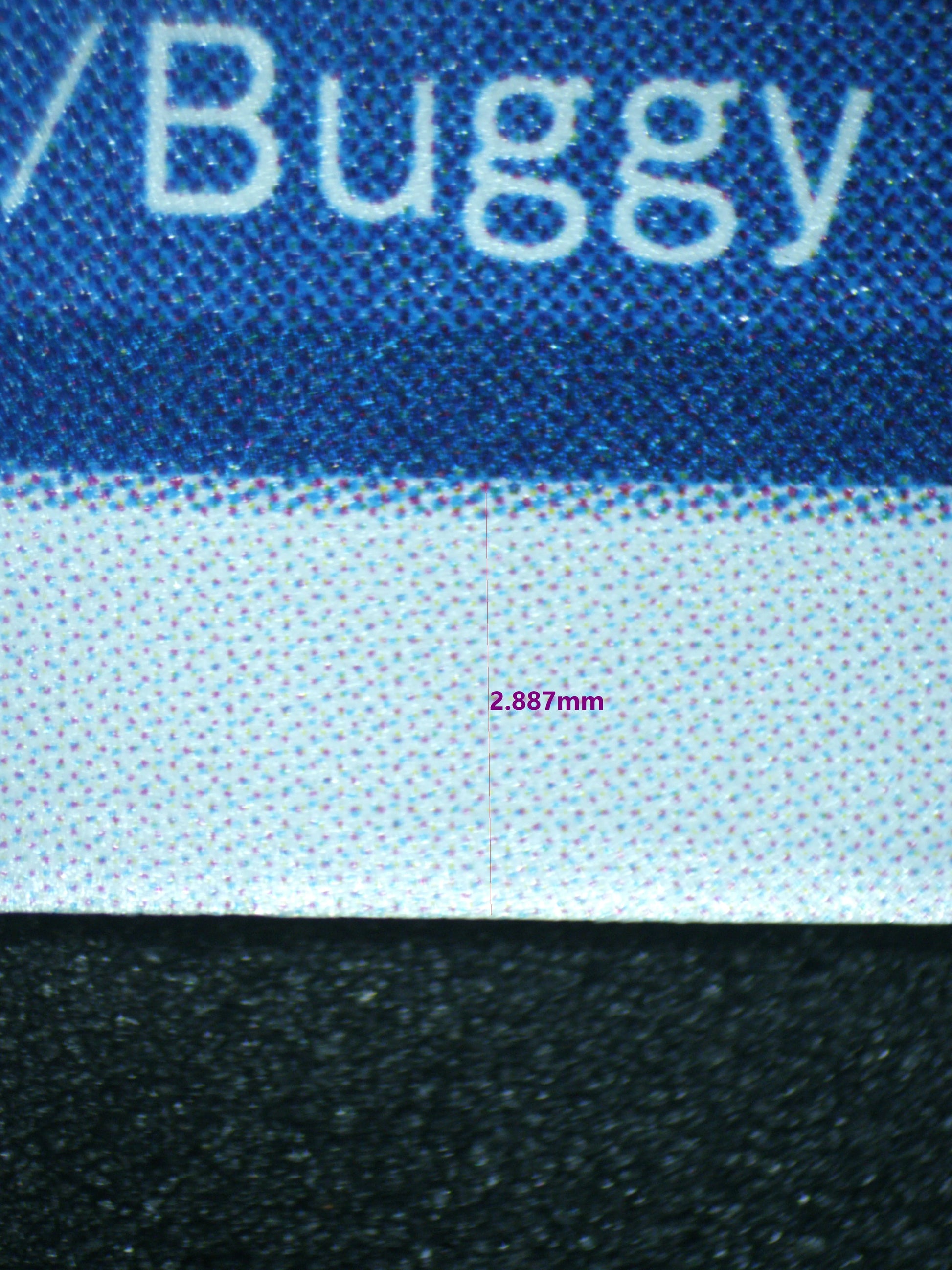 02253 BUGGY Grading Card