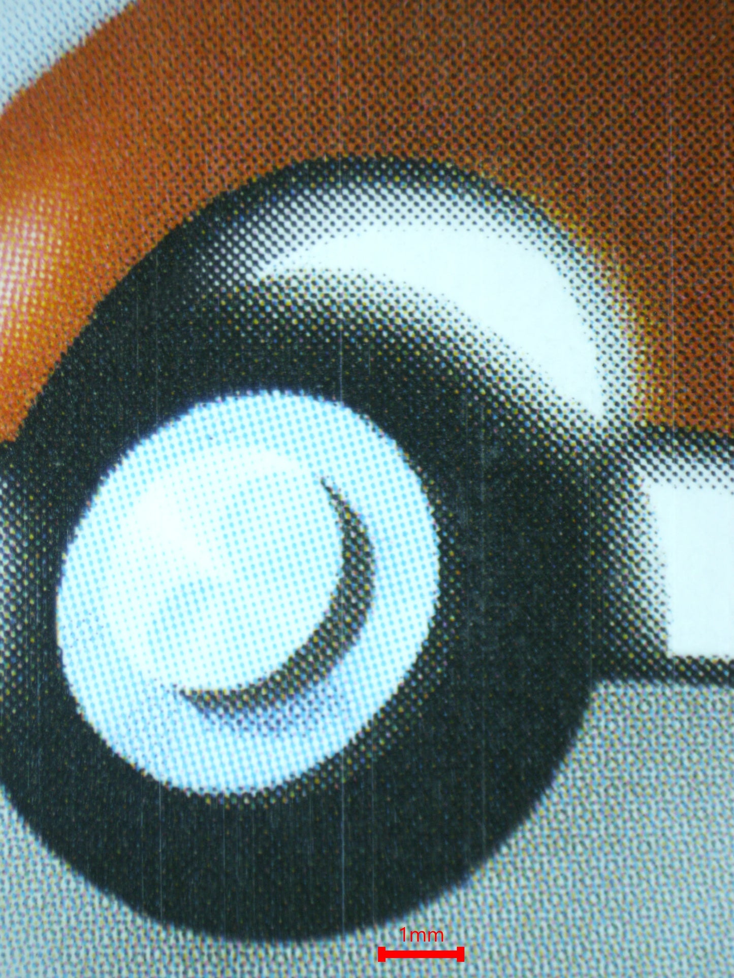 02256 CHARMANDER Grading Card
