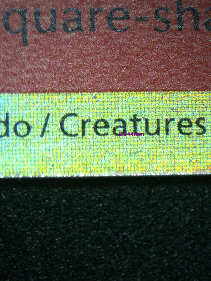 02197 FUECOCO Grading Card