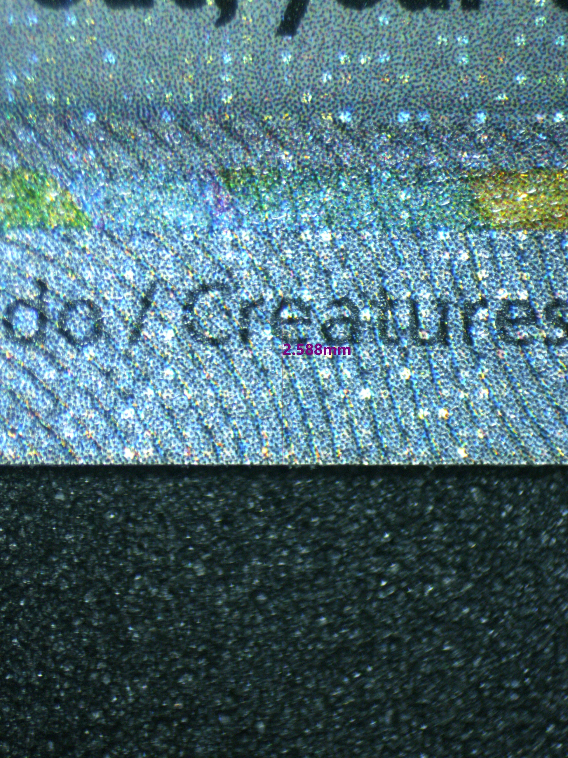 02260 VENUSAUR EX Grading Card
