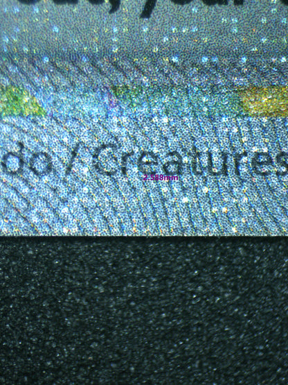 02260 VENUSAUR EX Grading Card