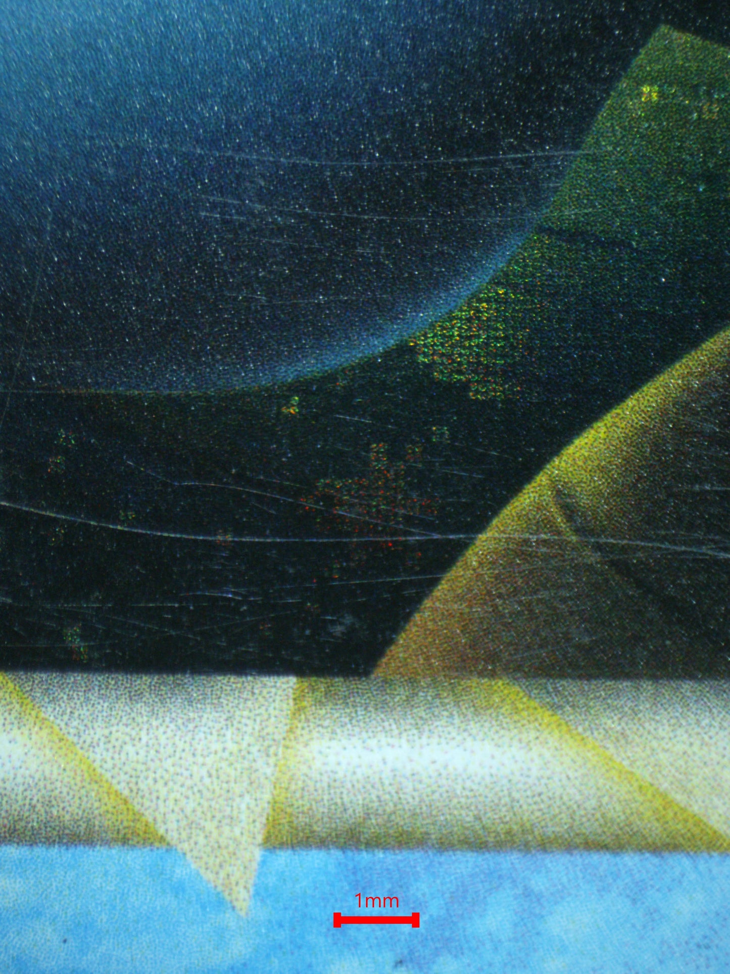 02287 KINGDRA (PRIME) Grading Card