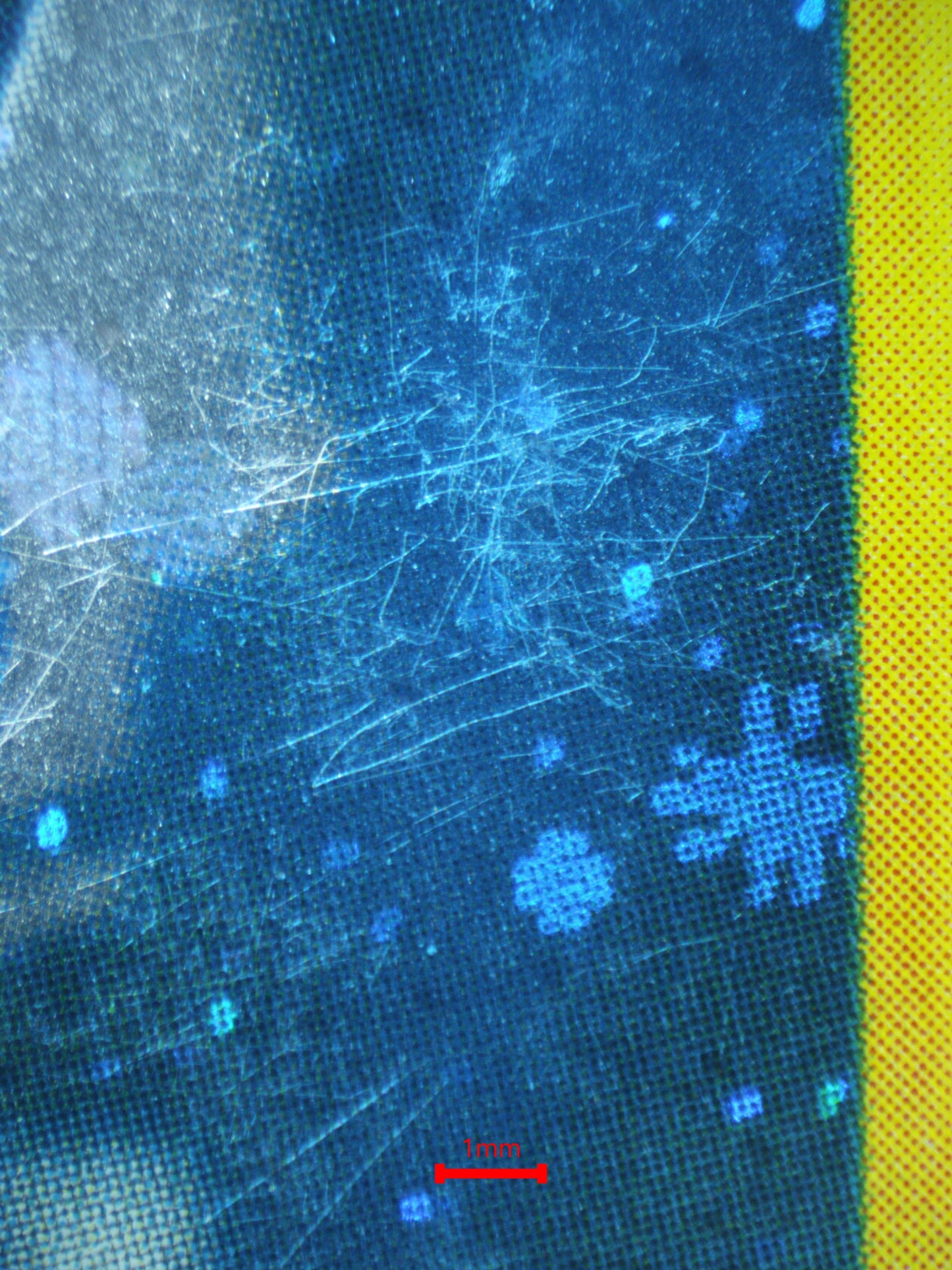 02292 KINGDRA Grading Card