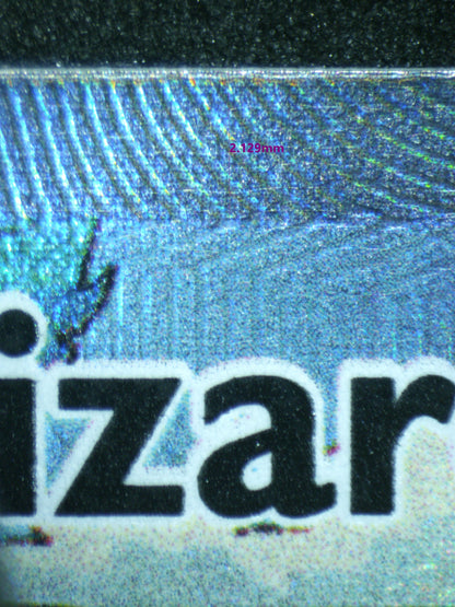 02293 CHARIZARD V Grading Card