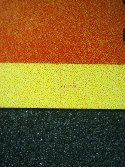 02298 CHARIZARD (SPANISH) Grading Card