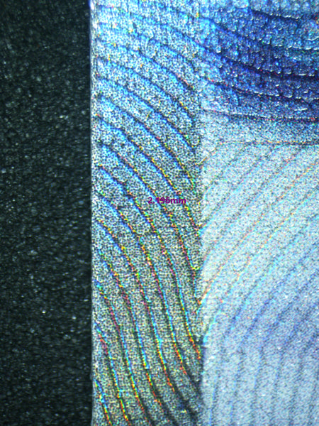Extra 2