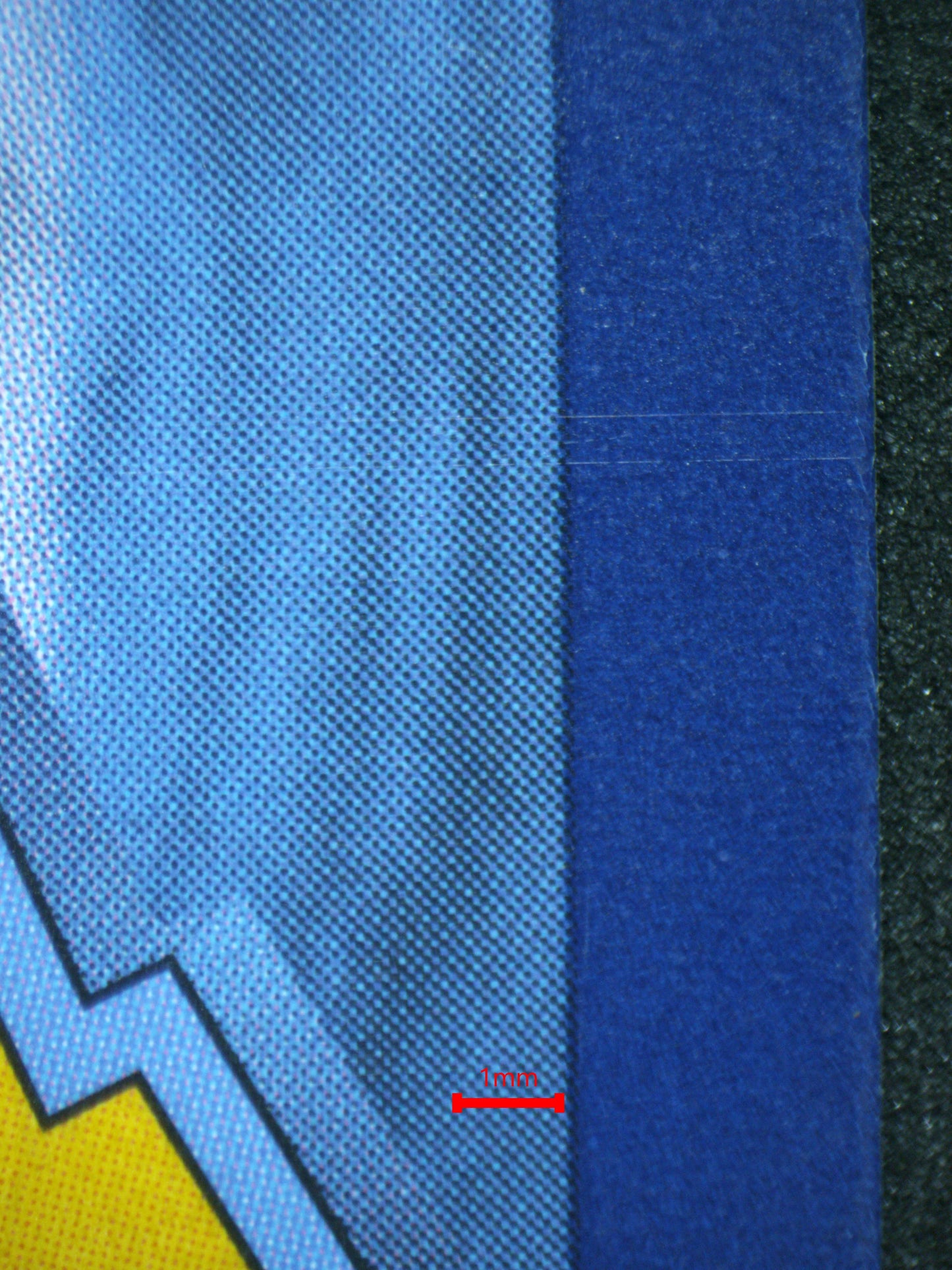 02321 SQUIRTLE Grading Card