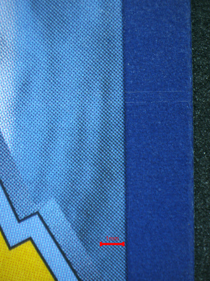 02321 SQUIRTLE Grading Card
