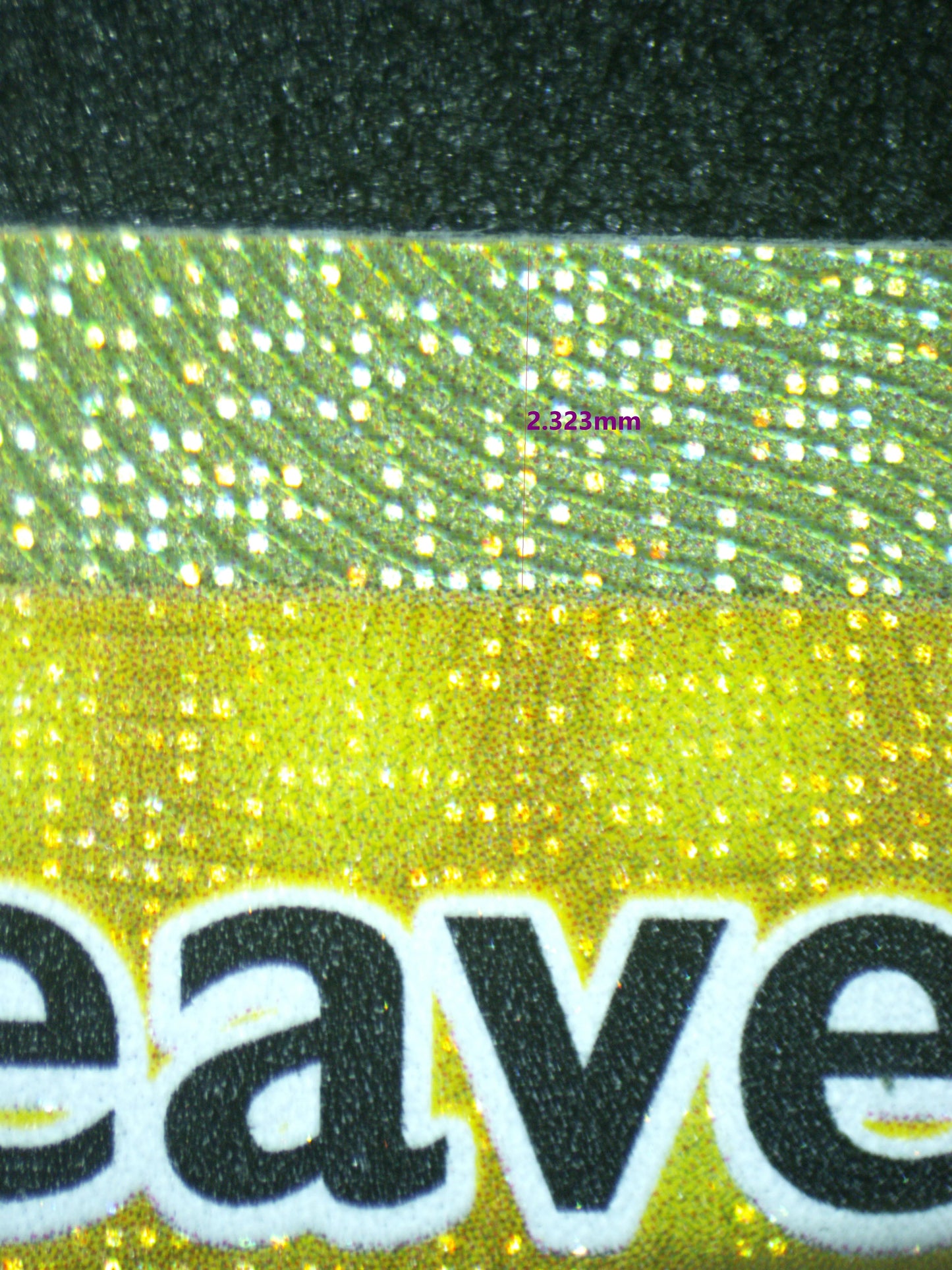 02381 IRON LEAVES EX Grading Card