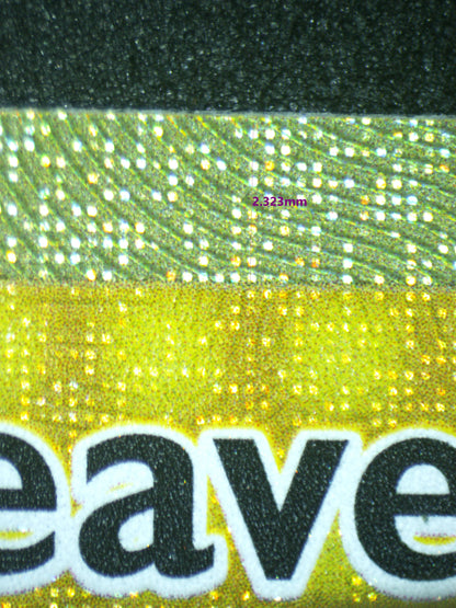 02381 IRON LEAVES EX Grading Card