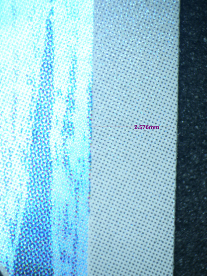 02387 SNOM (JAPANESE) Grading Card