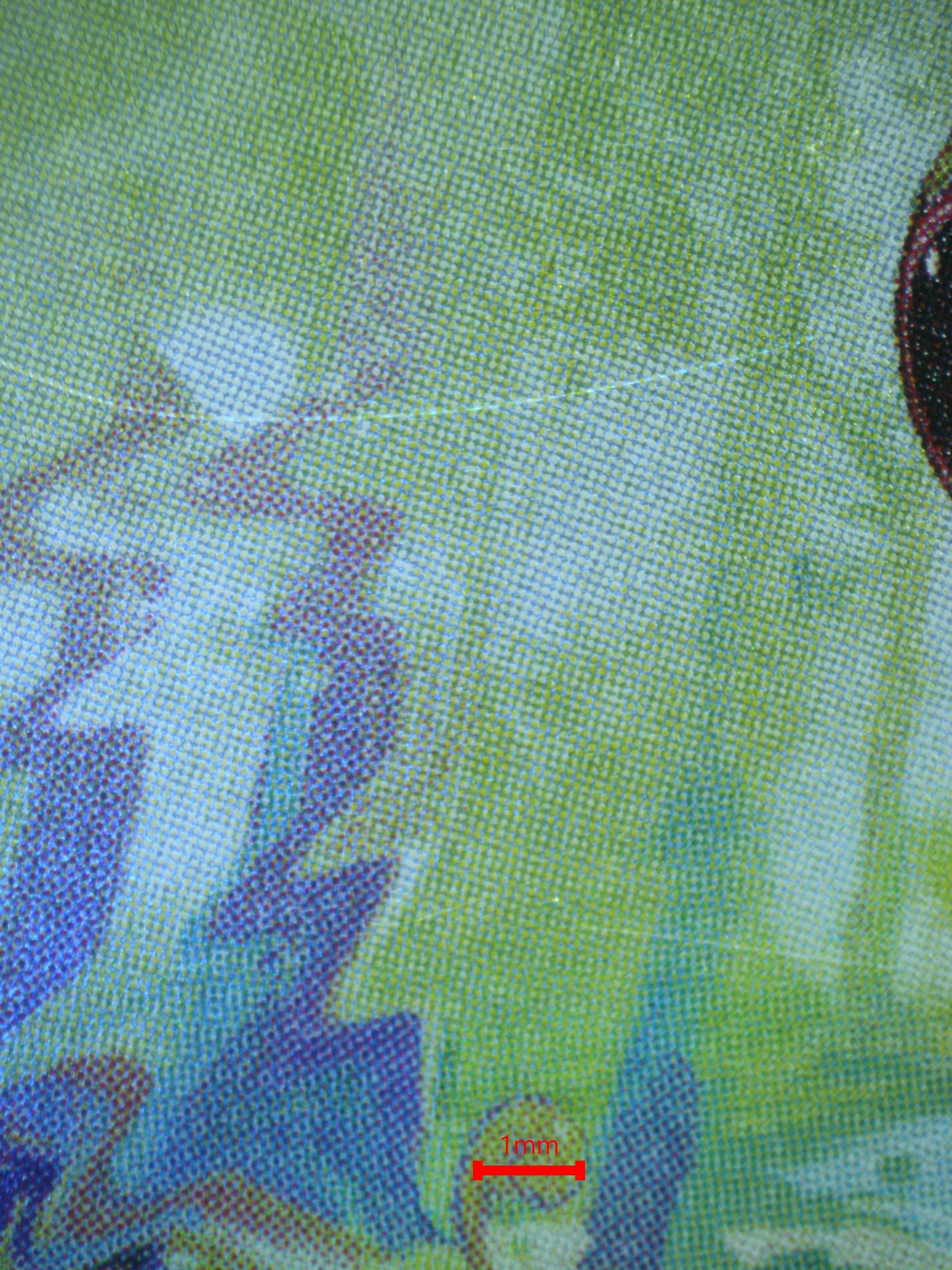 02388 SCREAM TAIL (JAPANESE) Grading Card
