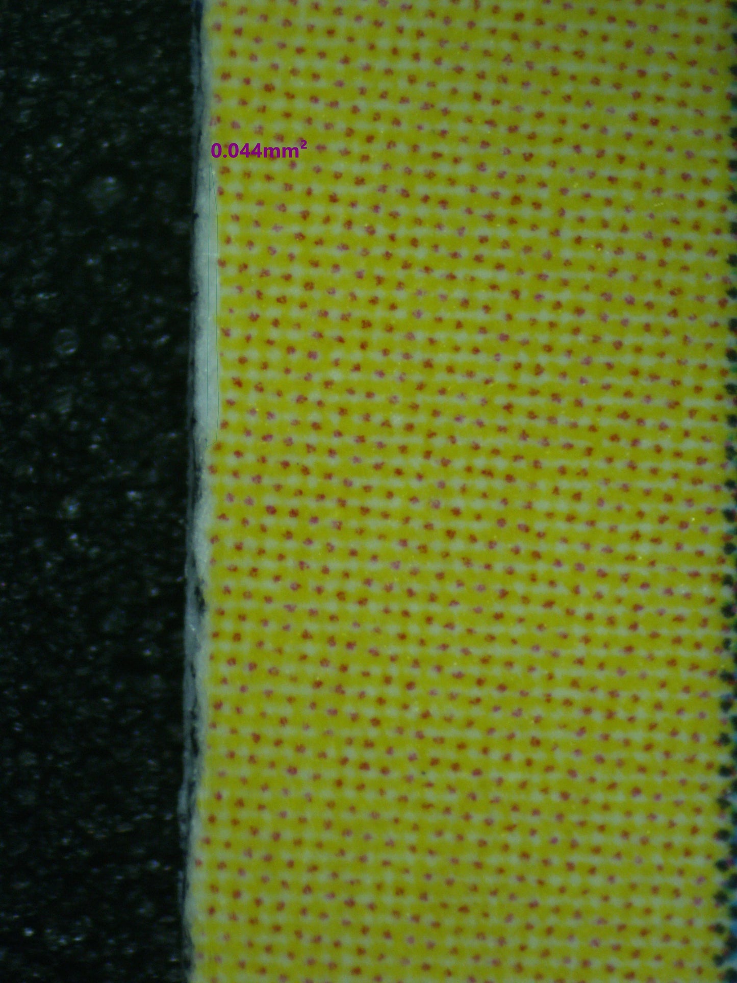 02405 SOBBLE ON THE BALL Grading Card