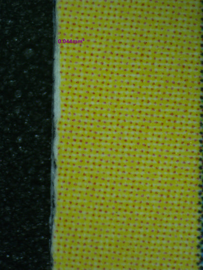 02405 SOBBLE ON THE BALL Grading Card